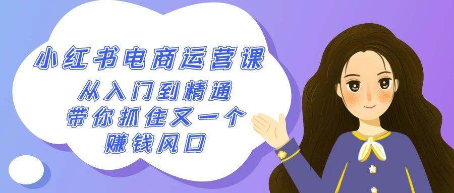 2024小红书电商运营课，从入门到精通，带你抓住又一个赚钱风口(50节课)-小艾项目网
