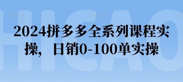 2024拼多多全系列课程实操，日销0-100单实操【必看】-卿云社