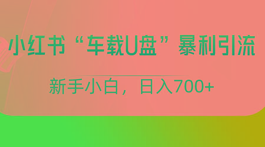 小红书“车载U盘”项目，暴利引流，新手小白轻松日入700+-卿云社