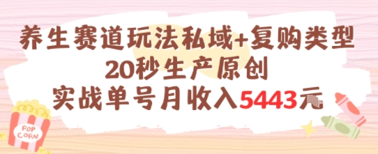 养生赛道玩法私域+复购类型，20秒生产原创实战单号月收入5k+-卿云社