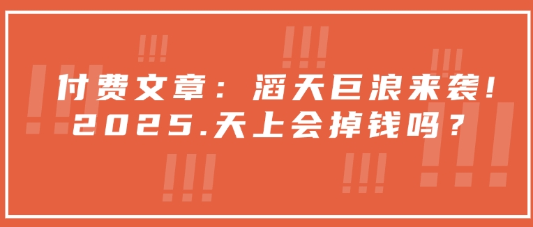 付费文章:滔天巨浪来袭!2025天上会掉钱吗?