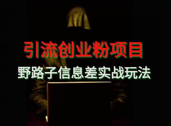 【引流创业粉】野路子信息差玩法实战教学-卿云社