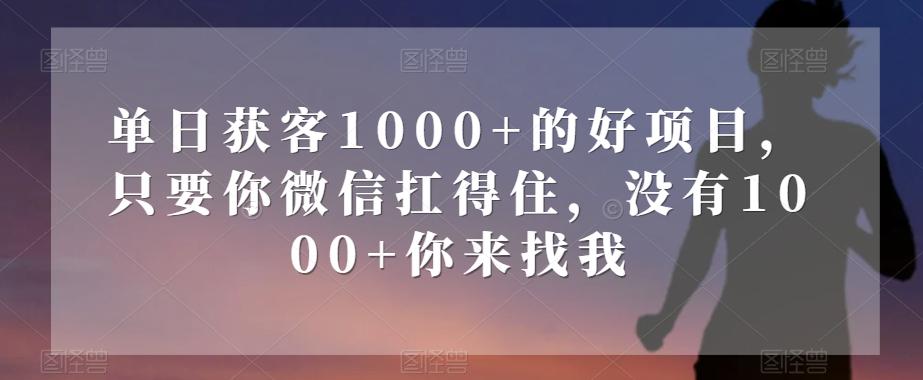 单日获客1000+的好项目，只要你微信扛得住，没有1000+你来找我【揭秘】-卿云社
