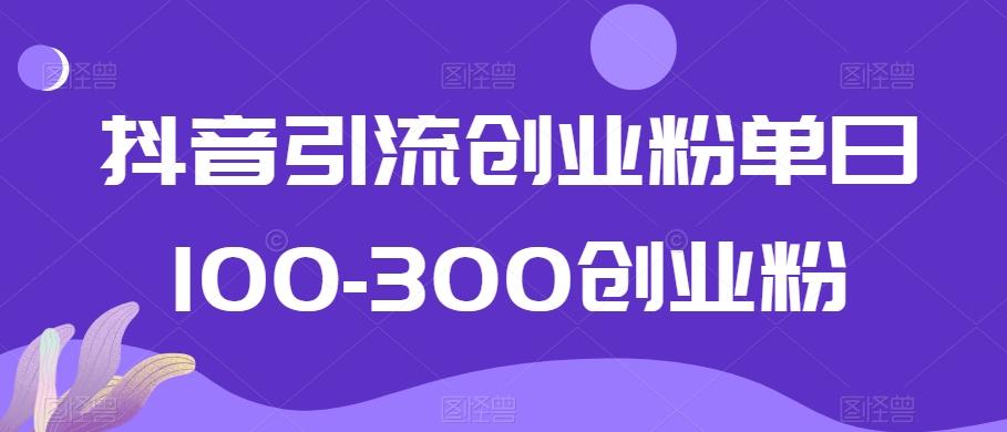 抖音引流创业粉单日100-300创业粉【揭秘】-卿云社