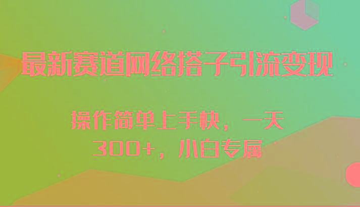 最新赛道网络搭子引流变现!!操作简单上手快，一天300+，小白专属-卿云社