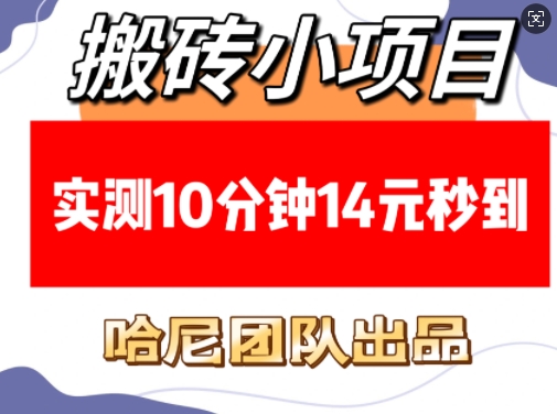搬砖小项目，实测10分钟14元秒到，每天稳定几张(赠送必看稳定)-卿云社
