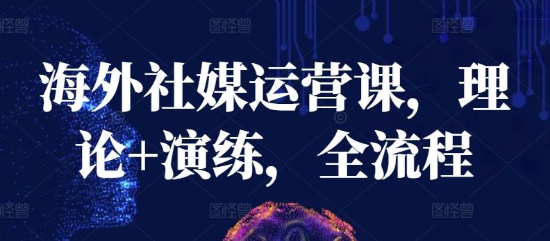 海外社媒运营课，理论+演练，全流程-卿云社