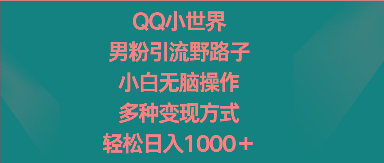 QQ小世界男粉引流野路子，小白无脑操作，多种变现方式轻松日入1000＋-卿云社
