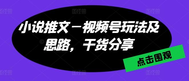 小说推文—视频号玩法及思路，干货分享-卿云社