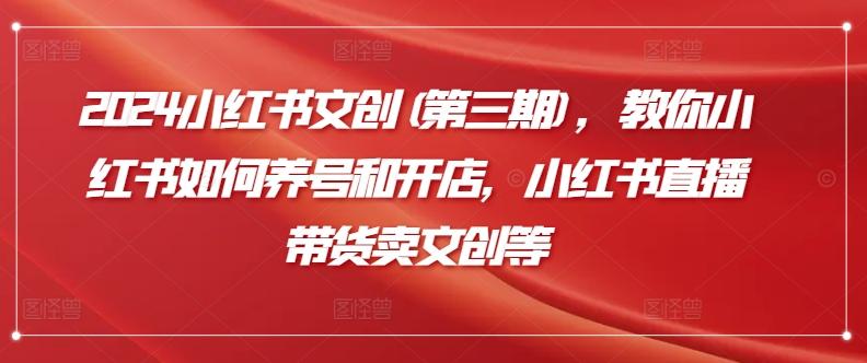 2024小红书文创(第三期)，教你小红书如何养号和开店，小红书直播带货卖文创等-卿云社