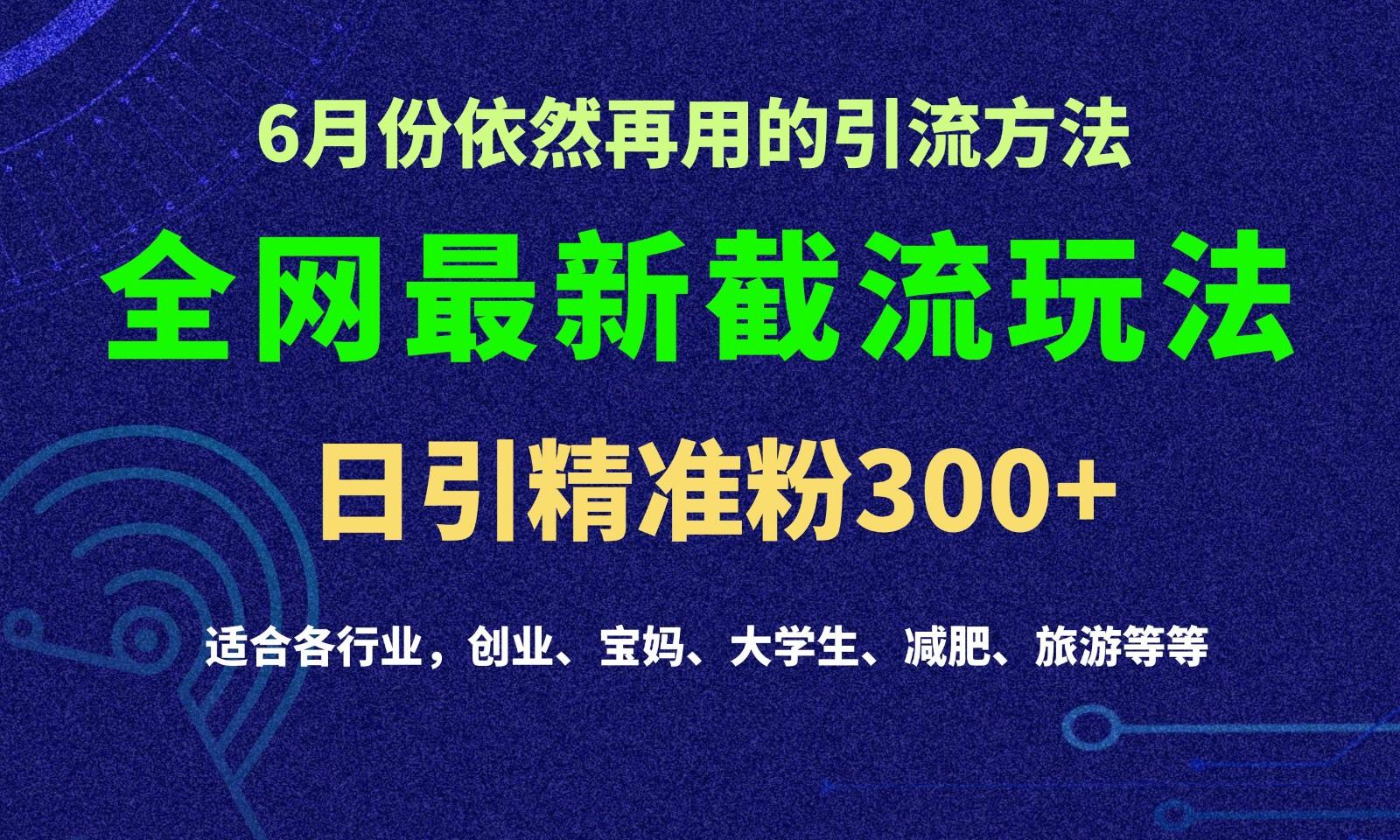 2024全网最新截留玩法,每日引流突破300+-卿云社