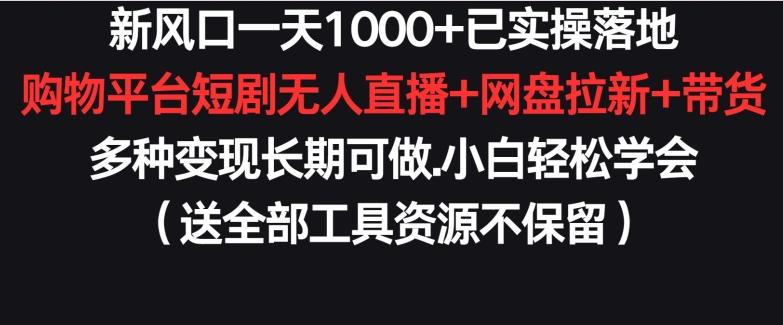 新风口一天1000+已实操落地购物平台短剧无人直播+网盘拉新+带货多种变现长期可做【揭秘】-卿云社