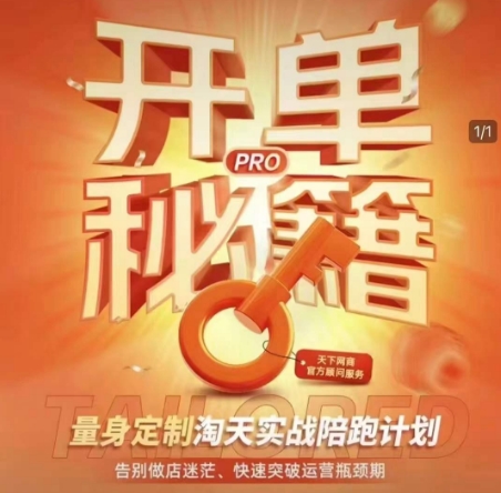 淘宝开单秘籍PRO，量身定制淘天实战陪跑计划，告别做店迷茫、快速突破运营瓶颈期-卿云社