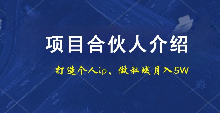 项目合伙人项目，打造个人IP，做私域月入5W，小白勿扰-卿云社