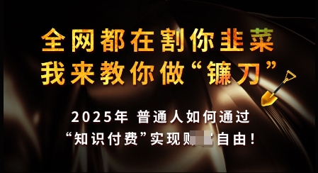 知识付费如何做到月入过W+，2025我来教你做“镰刀”【揭秘】-卿云社