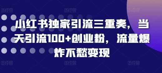 小红书独家引流三重奏，当天引流100+创业粉，流量爆炸不愁变现【揭秘】-卿云社