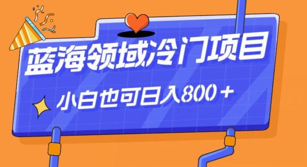 蓝海领域冷门赛道，一单39.9，日入800＋-卿云社