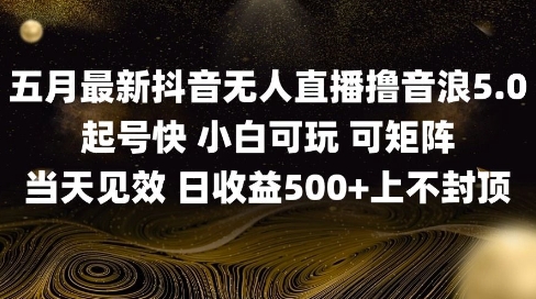 2025五月最新无人直播撸音浪单日产出5张+实操教程【揭秘】-卿云社