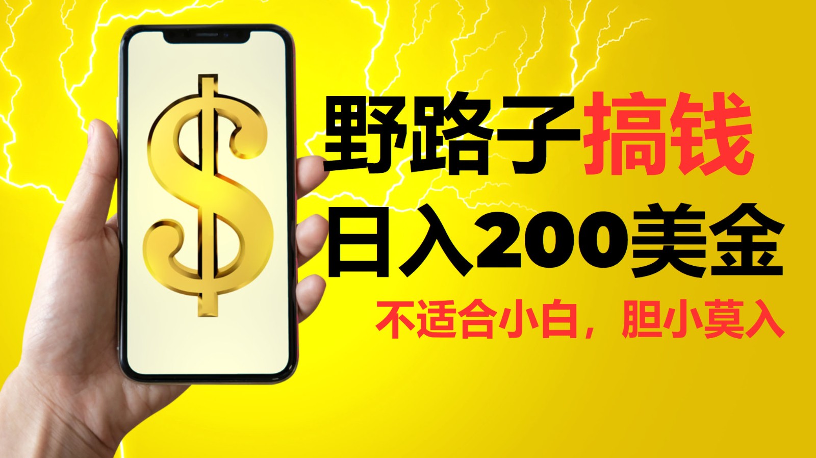 挂机野路子搞钱，日入200美金，路子很野，小白莫入-卿云社