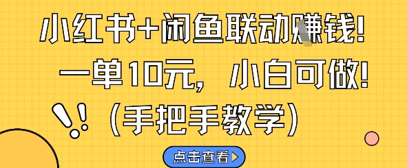 小红书+闲鱼联动挣钱，一单10元，小白可做-卿云社