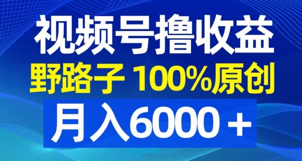 视频号野路子撸收益，100%原创，条条爆款，月入6000＋【揭秘】-卿云社