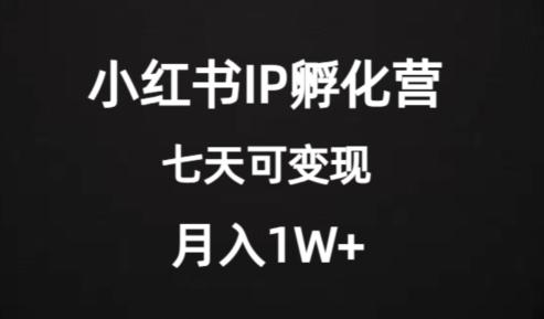 价值2000+的小红书IP孵化营项目，超级大蓝海，七天即可开始变现，稳定月入1W+-卿云社