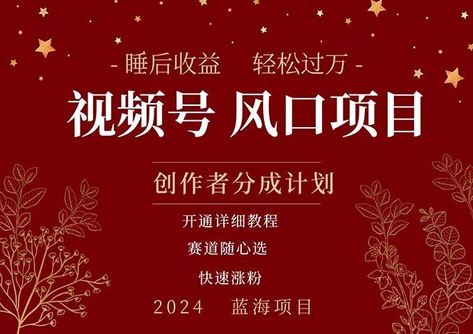 拥有睡眠收益的微信视频号大风口项目，轻松月入过万+，多赛道选择，可…-卿云社