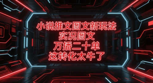 小说推文图文新玩法，实况图文，万播二十单，这转化太牛了！-卿云社
