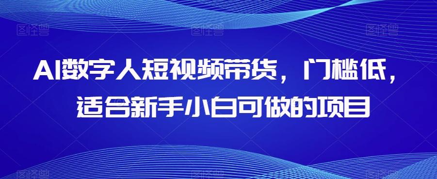 AI数字人短视频带货，门槛低，适合新手小白可做的项目-卿云社