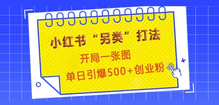 小红书“另类”打法，开局一张图，单日引爆500+精准创业粉【揭秘】-卿云社