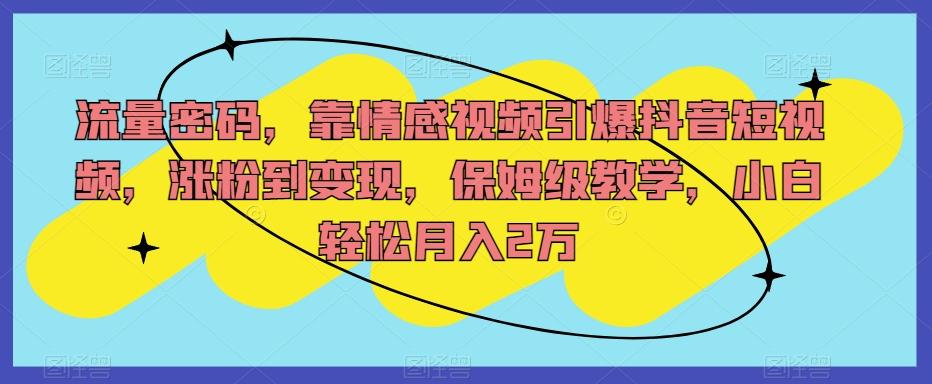 流量密码，靠情感视频引爆抖音短视频，涨粉到变现，保姆级教学，小白轻松月入2万【揭秘】-卿云社