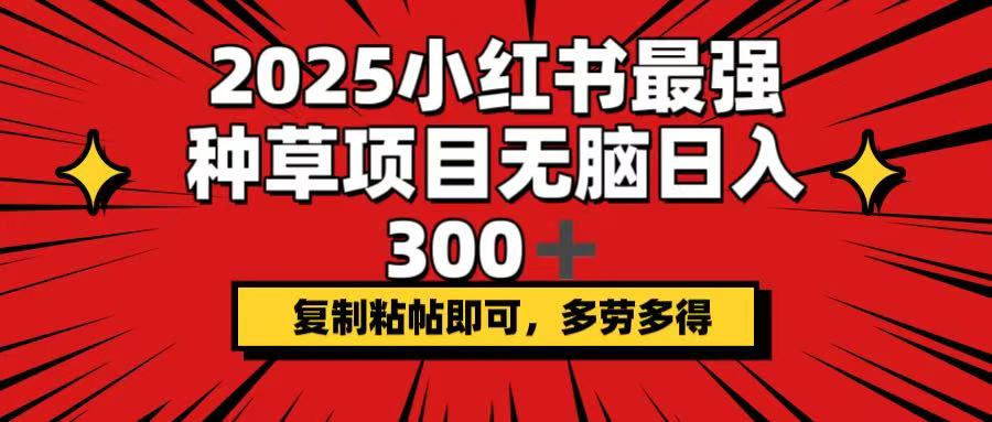 2025小红书最强种草项目，无脑日入300+，复制粘帖即可，多劳多得-卿云社