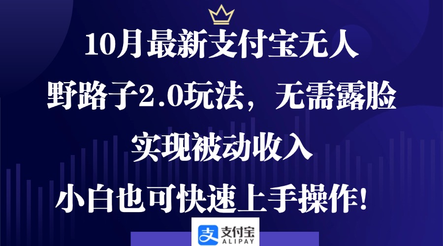 10月最新支付宝无人野路子2.0玩法，无需露脸，实现被动收入，小白也可...-卿云社