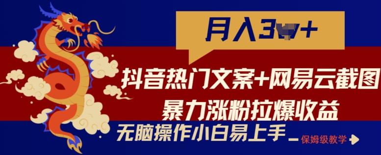 抖音热门文案+网易云截图暴力涨粉拉爆收益玩法，小白无脑操作，简单易上手【揭秘】-卿云社