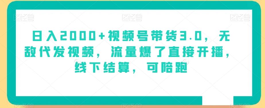日入2000+视频号带货3.0，无敌代发视频，流量爆了直接开播，线下结算，可陪跑-小艾项目网
