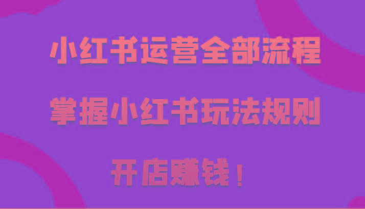 小红书运营全部流程，掌握小红书玩法规则，开店赚钱！-卿云社