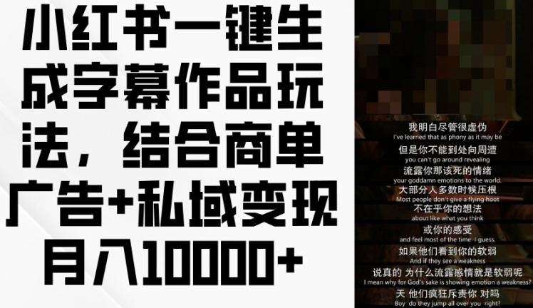 小红书一键生成字幕作品玩法，结合商单广告+私域变现月入1w+【揭秘】-卿云社