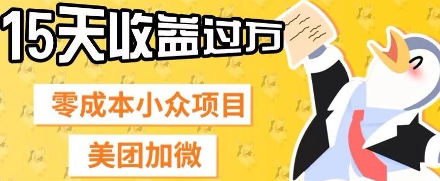 零成本小众项目，美团加微，一单4.5+，15天已经有人赚上万收益-卿云社