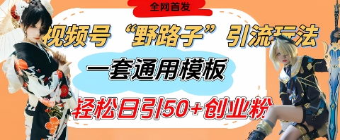 视频号“野路子”玩法，评论区疯狂截流，一套模板单日单号引流50+创业粉-小艾项目网