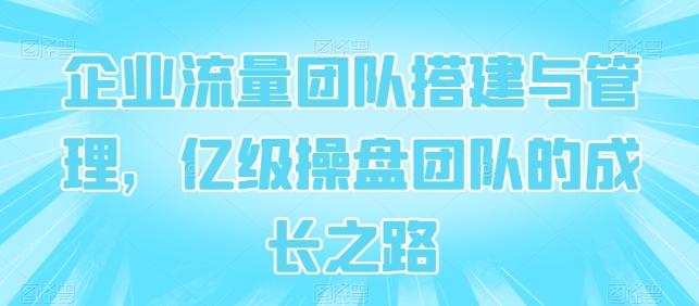企业流量团队搭建与管理，亿级操盘团队的成长之路-卿云社
