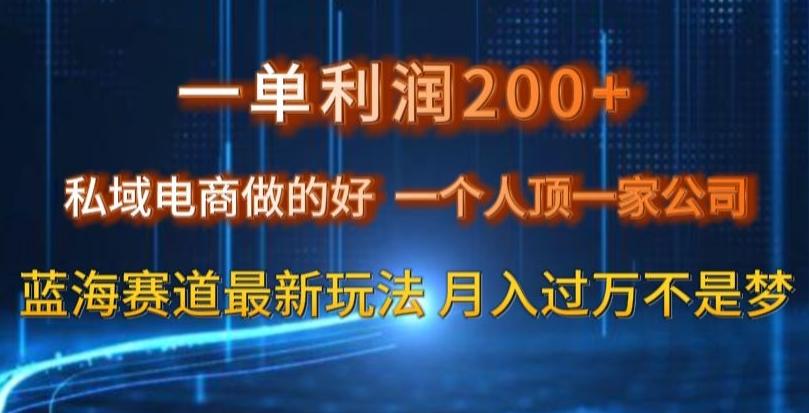 一单利润200私域电商做的好，一个人顶一家公司蓝海赛道最新玩法【揭秘】-卿云社