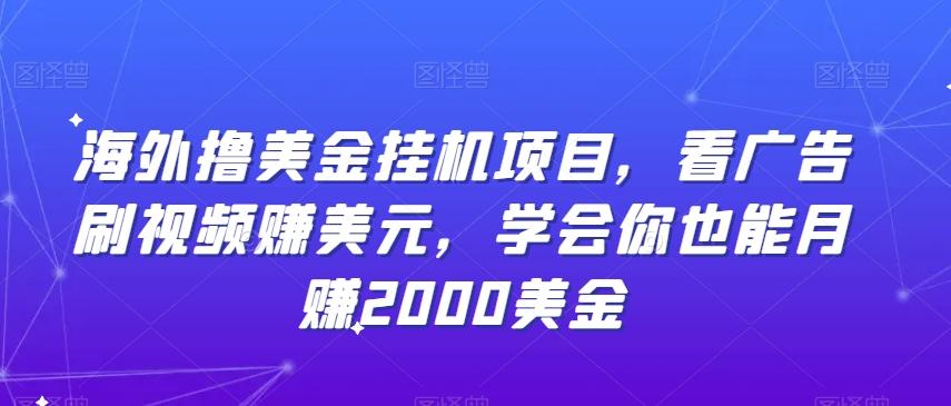 海外撸美金挂机项目，看广告刷视频赚美元，学会你也能月赚2000美金-卿云社