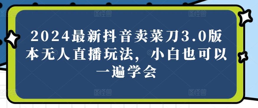 2024最新抖音卖菜刀3.0版本无人直播玩法，小白也可以一遍学会【揭秘】-卿云社
