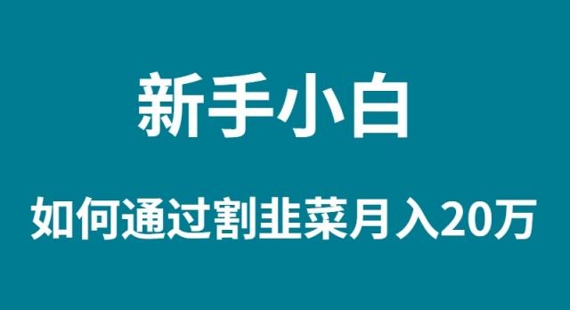 (9308期)新手小白如何通过割韭菜月入 20W-卿云社