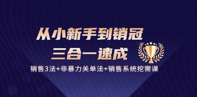 从小新手到销冠 三合一速成：销售3法+非暴力关单法+销售系统挖需课 (27节-卿云社
