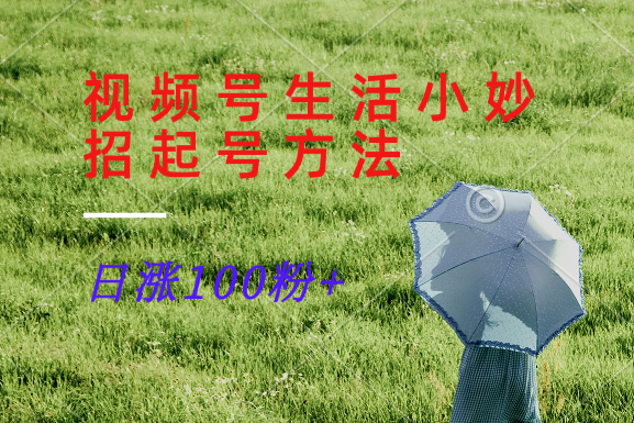 视频号生活小妙招分享赛道， 起号涨粉新方法，日涨100粉-卿云社