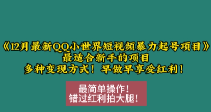 12月最新QQ小世界短视频暴力起号项目，最适合新手的项目，多种变现方式-卿云社