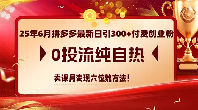 25年6月拼多多最新日引300+付费创业粉，0投流纯自热 卖课月变现六位数方法-卿云社
