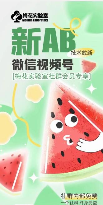 梅花实验室2024年AB技术视频号AB合成破解版-卿云社