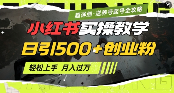 2月小红书最新日引500+创业粉实操教学【超详细】小白轻松上手，月入1W+，附小红书养号起号SOP-卿云社